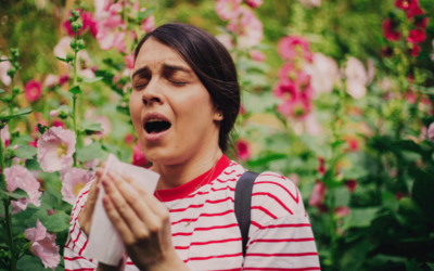 Spring Allergies: Understanding Causes, Symptoms, and Relief Options